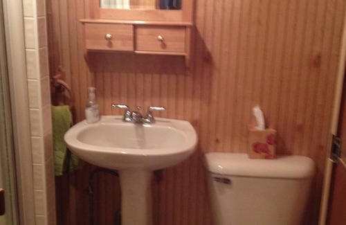Oden Cabin | Crooked Lake MI Log cabin