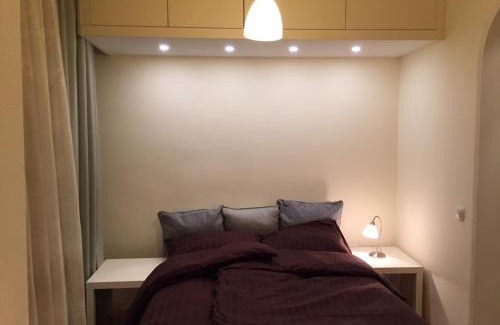 Vracar Apartment | Crown Street Garden Studio