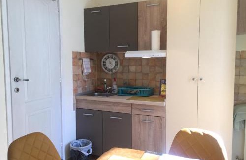 Vracar Apartment | Crown Street Garden Studio