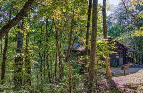 Gatlinburg - Pigeon Forge Ski Chalet | Cub's Corner