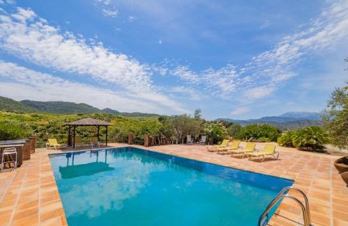 Coin House | Cubo's Coin Pure Nature High Privacy