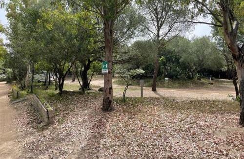 Olbia Other | Cugnana Porto Rotondo Bungalows - Camping
