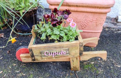 Bridlington House | Cupid's Cottage