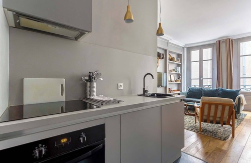 Griffon - Royale Apartment | Curiosité - Furnished apartment - Downtown Lyon