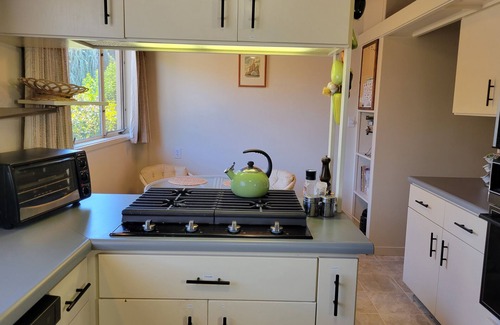 Ukiah House | Custom Redwood Mid-Century Modern home on quiet street near downtown