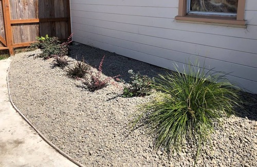 Eureka House | ☕️Cute, cool, central Eureka; pets ok; sleeps 6-8