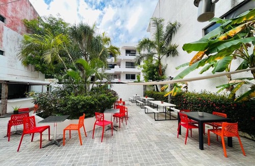 Zona Hotelera Apartment | Cute studio in Hotel Zone,easy move location Gre301b