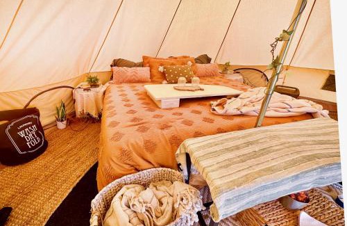 New Cuyama Other | Cuyama Oaks Ranch