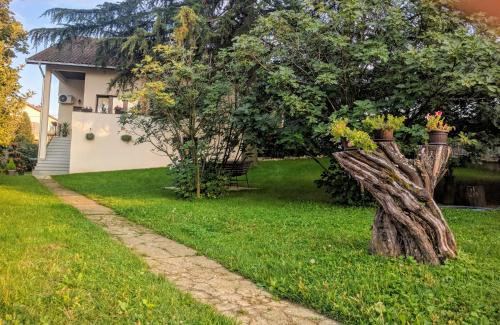 Arandelovac Apartment | Cvijićeva 1