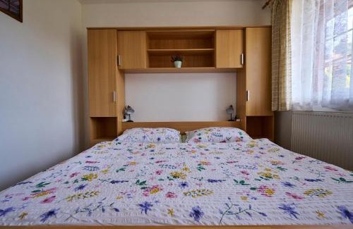 Albrechtice v Jizerskych horach Apartment | Apartment Špičák II by Interhome