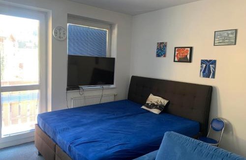 Albrechtice v Jizerskych horach Apartment | Ubytování u sjezdovky Tanvaldský Špičák II. s garáží