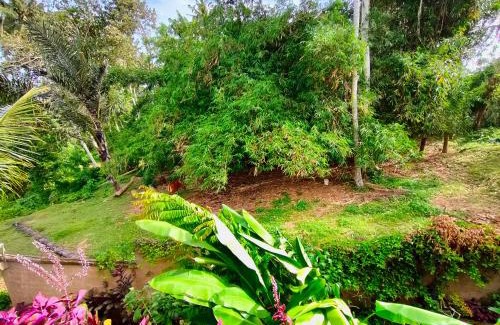 Kemenuh Bed & Breakfast | D'Nanda mini hotel Ubud