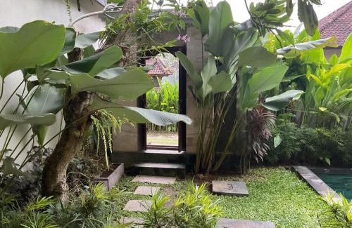 Babakan Hotel | D'tegal Guest House-Tropical Stay with Hanging Plants & Pool in Canggu