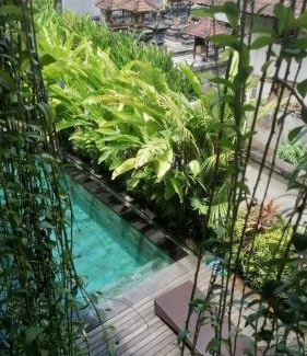 Babakan Hotel | D'tegal Guest House-Tropical Stay with Hanging Plants & Pool in Canggu