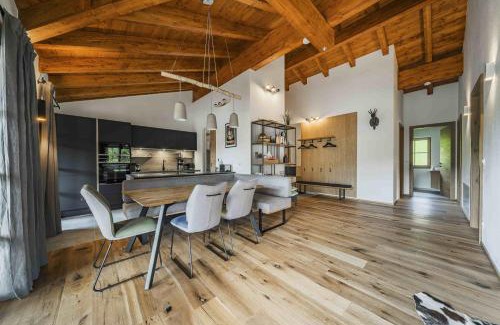 Russbach am Pass Gschuett Apartment | Dachstein West Apartment T4