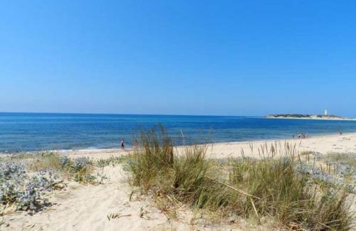 Los Canos de Meca Apartment | DADA CAÑOS