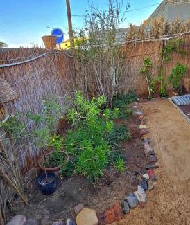 Dahab House | Dahab house home