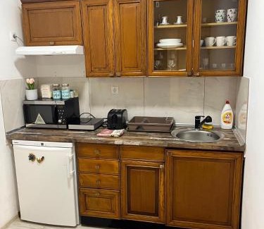 Petrovaradin Apartment | Daisy Apartment Novi Sad- Sremska Kamenica