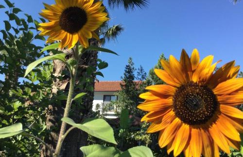Dalyan Bed & Breakfast | Dalyan Garden Pension