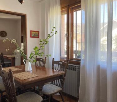 Bajina Basta Apartment | Dana apartman