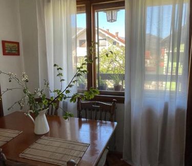 Bajina Basta Apartment | Dana apartman