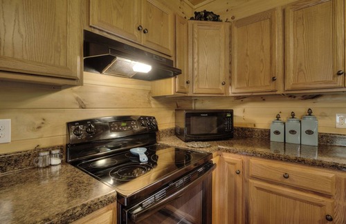 Gatlinburg - Pigeon Forge House | Dancing With The Bears - Boogey On Down!