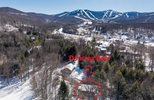 Killington House | DancingBears- 8BR, 2 Hot Tubs, 2 Homes, Game Room, AC!