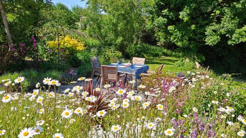 Bideford Apartment | Darracott Farm Cottage