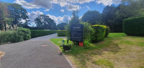 Liverton Other | Dartmoor Halfway Campsite