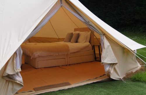 Liverton Other | Dartmoor Halfway Campsite