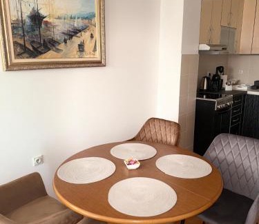 City Center Apartment | DarViva Apartment Niš, center, private garage parking, river view