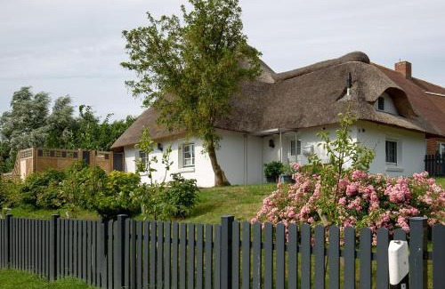 Westertilli House | Dat Slott