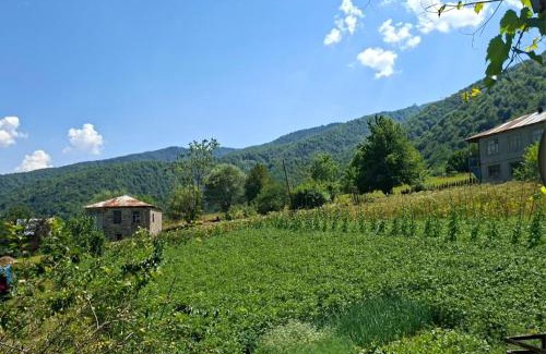 Racha-Lechkhumi and Lower Svaneti House | Datucha's guesthouse