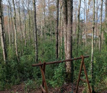 Caburgua House | David el roble3