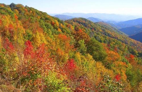 Hemlock Hills House | Day Dreamer Cabin W Views By Beyond Expectations