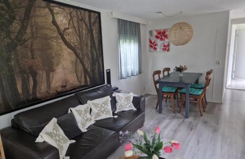 Krachtighuizen Ski Chalet | De Eekhoorn