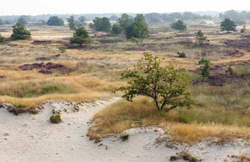 Udenhout Bed & Breakfast | De Logeerkamer