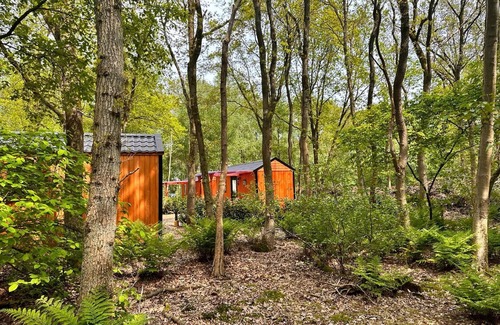 Zuidwolde Ski Chalet | De Sluus in de Natuur