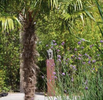 Lanaken Bed & Breakfast | De Tuinkamer, Charme Logie & Table d’Hote