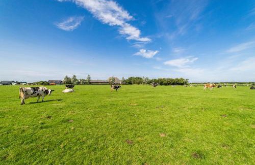 Schiermonnikoog Other | De Waard familietent Willemsduin