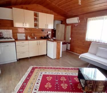Gumusluk Apartment | DefneWoodHome