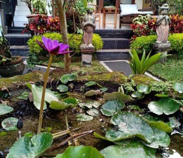 Ubud City-Centre House | Degeg Ubud Homestay