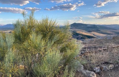 Fuentes de Cesna Ski Chalet | Dehesilla Olive Orchard Retreat
