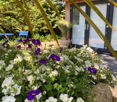 Chichester Apartment | Delightful self contained let in a village setting