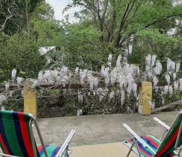 Partido de Tigre House | Delta Rose Farm l