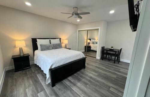 Tampa Apartment | Deluxe Apartment whit laundry
