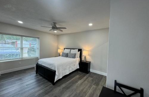 Tampa Apartment | Deluxe Apartment whit laundry