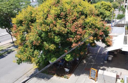 Salta Apartment | Deluxe Reyes Católicos