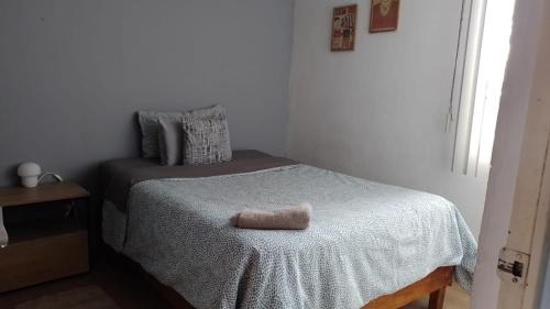 Cholula House | Depa Cholulita