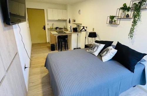 Concepcion Apartment | Departamento en el centro de la ciudad con patio